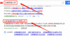云南省國際旅行社有限公司與我司簽署SEO優化項目