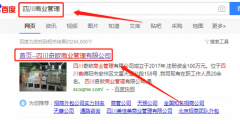 四川奇歐商業(yè)管理有限公司與海洋網(wǎng)絡(luò)簽署360排名項目