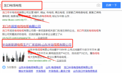 山東半島線纜有限公司與本司簽約網(wǎng)絡營銷項目