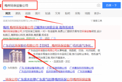 廣東自遠環(huán)保股份有限公司跟本公司簽訂網(wǎng)絡推廣合同