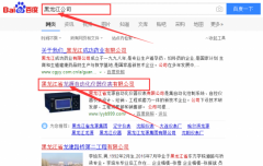 黑龍江省龍源自動化儀器儀表有限公司和本公司簽約關鍵詞優化排名合同
