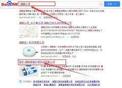 湖南澳維環保科技有限公司與本司簽約SEO優化協議
