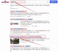 湖南*彩環(huán)境事業(yè)發(fā)展有限公司關(guān)鍵詞排名到首頁按天扣費