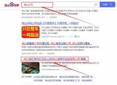 山東微山湖*花食品有限公司關(guān)鍵詞排名營(yíng)銷策劃優(yōu)質(zhì)品牌