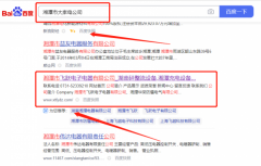 湘潭市飛*電子電器有限公司網(wǎng)站SEO優(yōu)化品牌營(yíng)銷策劃?rùn)C(jī)構(gòu)