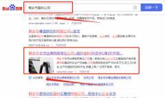 桐鄉(xiāng)市*靈絲綢有限責任公司關(guān)鍵詞推廣排名案例欣賞