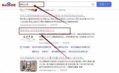 綏化龍*米業(yè)有限公司萬(wàn)詞霸屏最快上詞效果展示