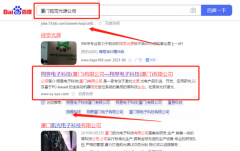 翔*電子科技（廈門）有限公司SEO優化排名參考網站