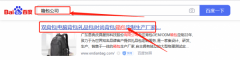 廣東恩*皮具服飾科技股份有限公司網站建設制作設計案例欣賞