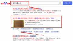 晉江市*暉皮革有限公司SEO品牌營銷策劃機構(gòu)