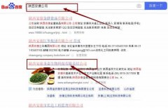 陜西安康圣*生物科技有限責(zé)任公司網(wǎng)站優(yōu)化讓網(wǎng)站輕松覆蓋在搜索引擎