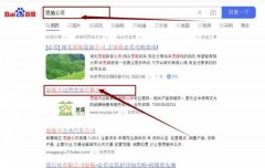 恩施市遠(yuǎn)*食品有限公司網(wǎng)站優(yōu)化保證在首頁效果