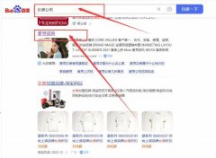 廣州麥*品牌運營管理有限公司百度排名參考網站